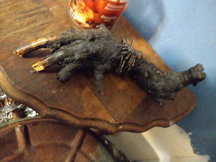 Our Witches Hand My Son David Found On The Way To The Store