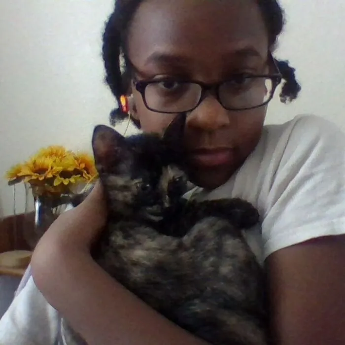 My Family Got A Kitten Named Maggy For Christmast