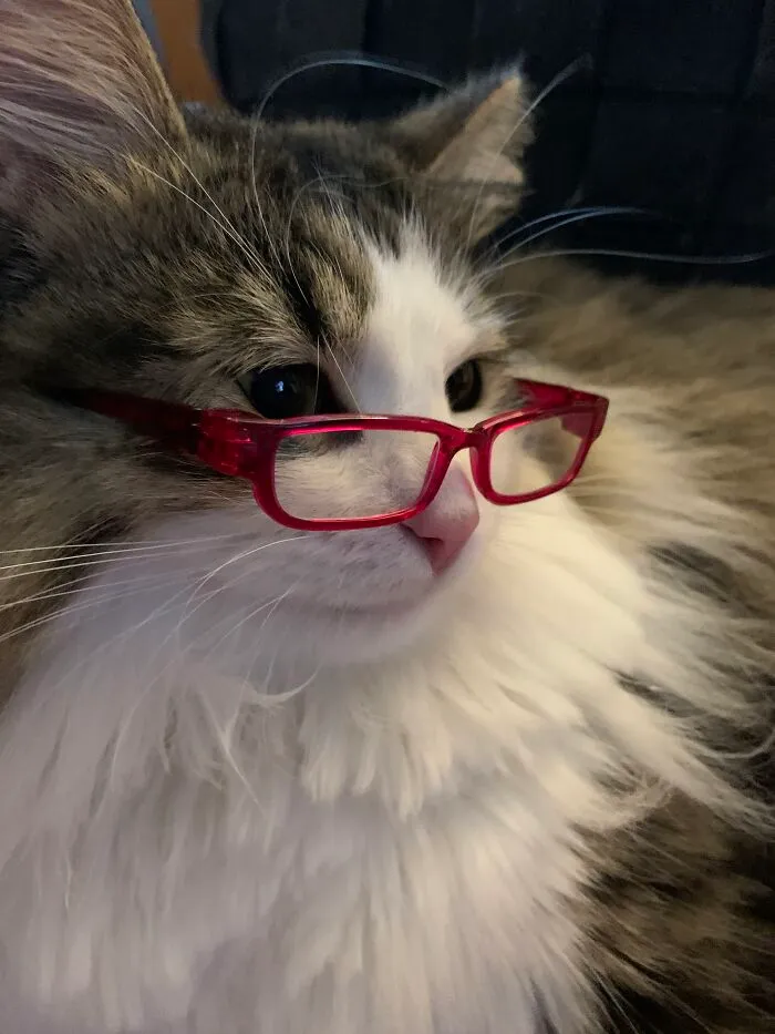 This Is Dennis' Brother Antoine