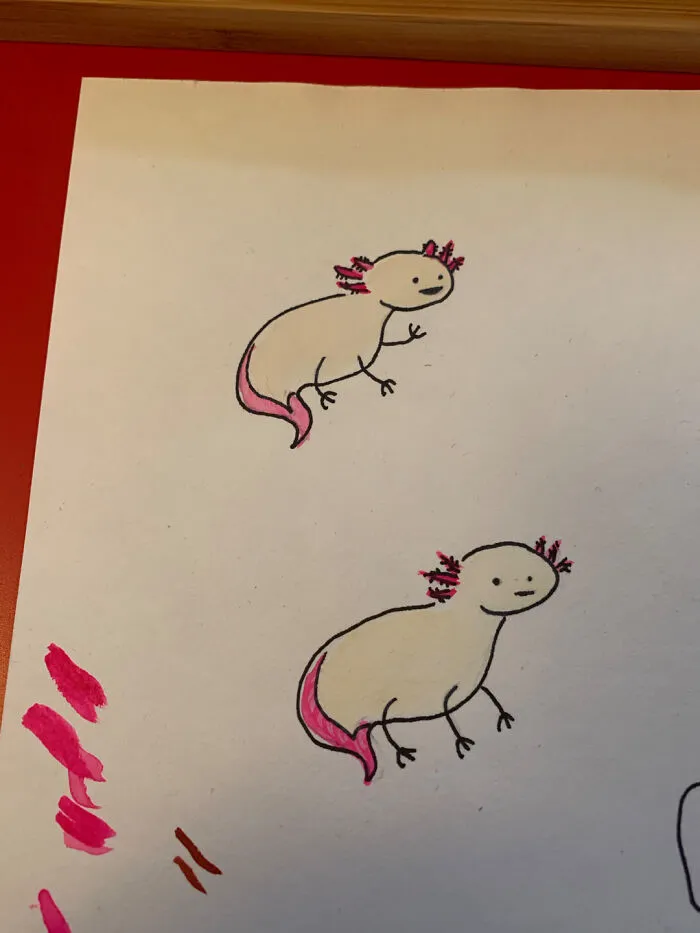 Here's My Cute Axolotl! If You Like It, Check My Other Bored Panda Posts! 🤗