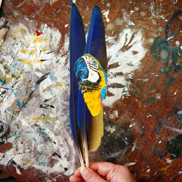 I’m Surviving Lockdown By Painting On Feathers (30 New Pics)