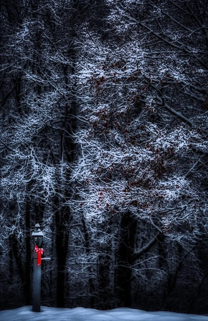 New England, USA