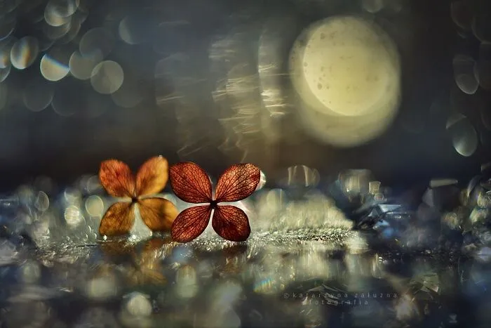 The Breath Of The Moon