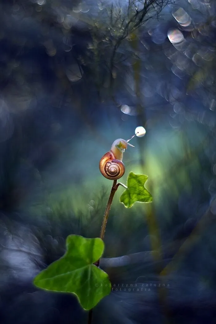 Loving Contact With Nature