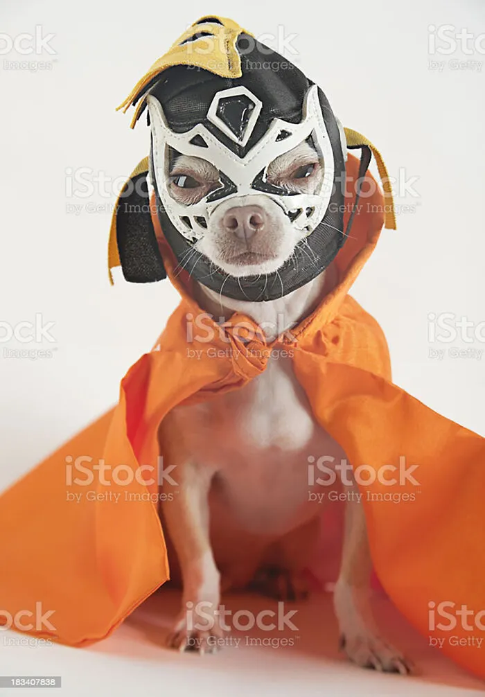 El Gallo Perro