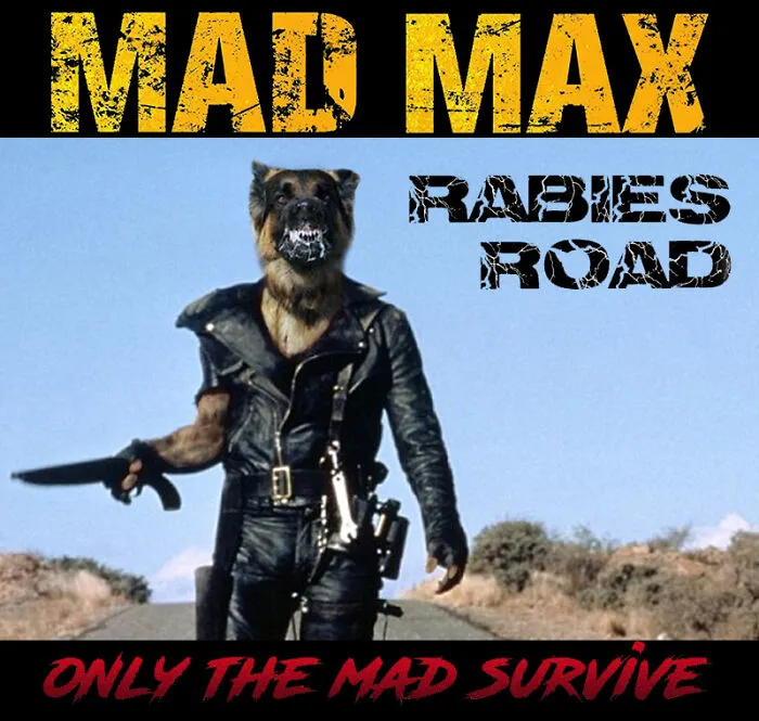 Mad Max