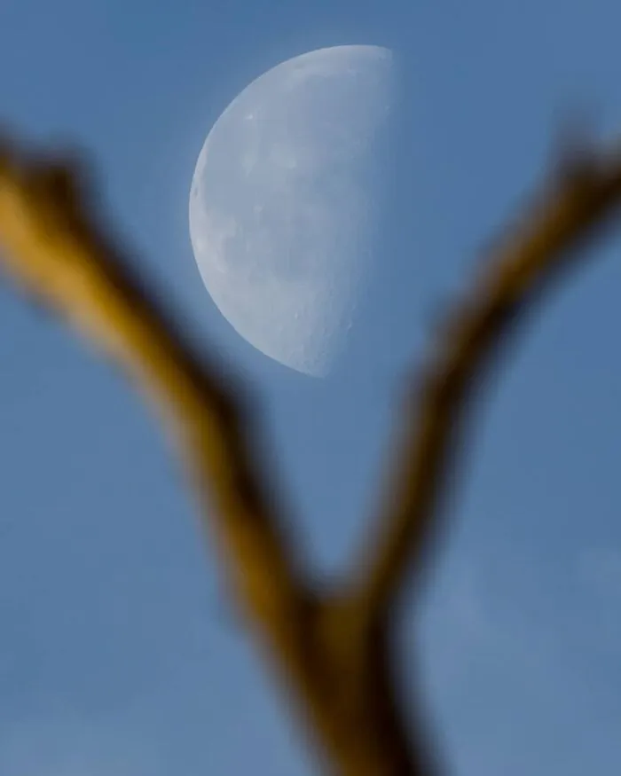 Not Photoshopped: Photographer Uses Only Lens To Make The Moon Look Supersized (26 Pics)