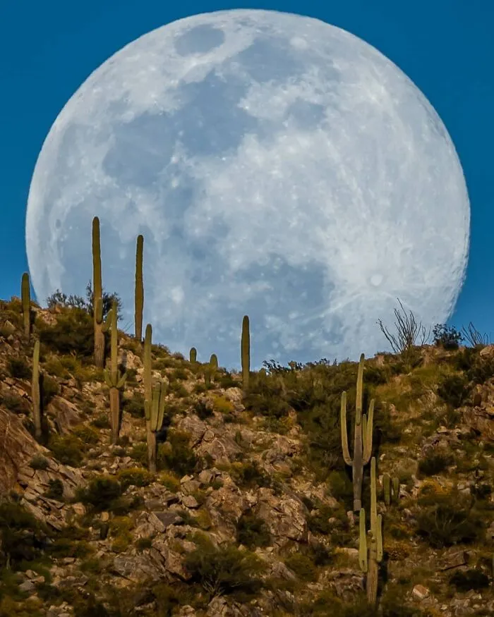 Not Photoshopped: Photographer Uses Only Lens To Make The Moon Look Supersized (26 Pics)