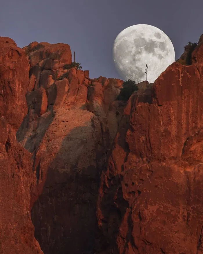 Not Photoshopped: Photographer Uses Only Lens To Make The Moon Look Supersized (26 Pics)