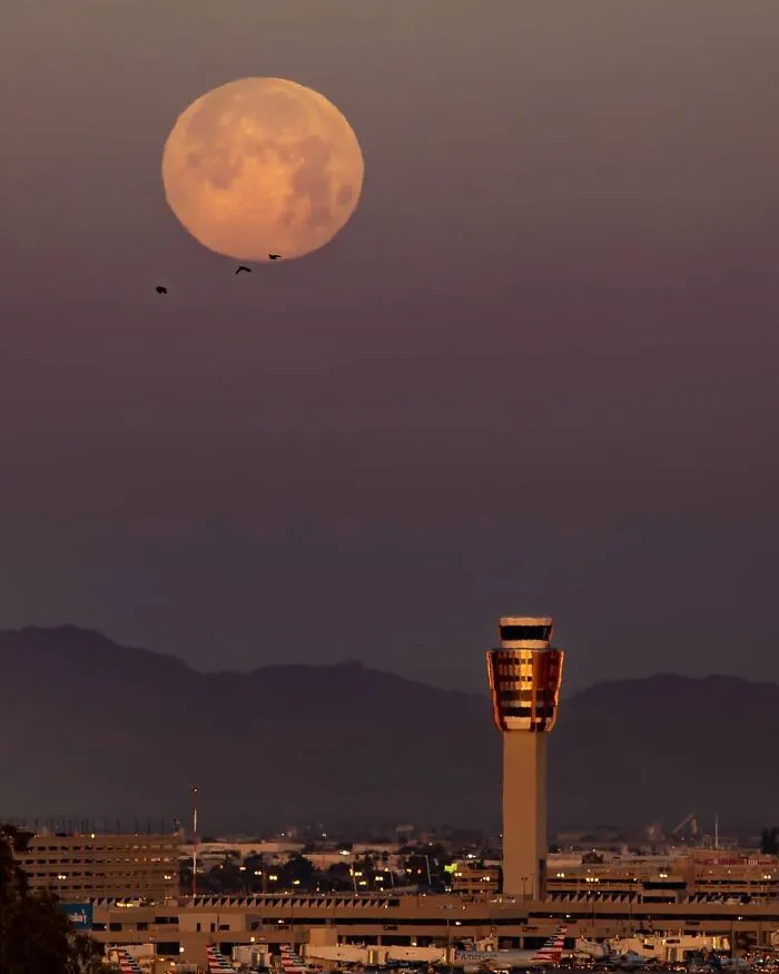 Not Photoshopped: Photographer Uses Only Lens To Make The Moon Look Supersized (26 Pics)