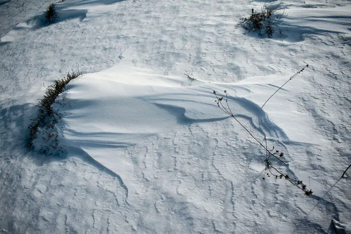 I Capture The Magical Beauty Of Winter In The Ukrainian Carpathians (30 Pics)