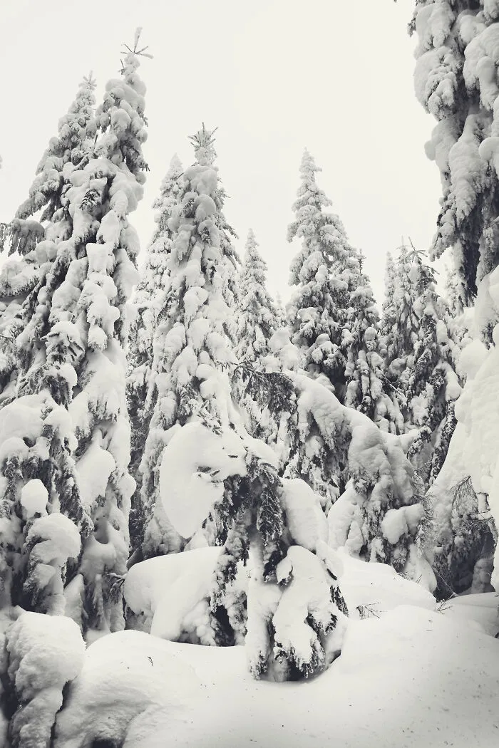 I Capture The Magical Beauty Of Winter In The Ukrainian Carpathians (30 Pics)