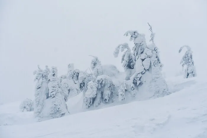 I Capture The Magical Beauty Of Winter In The Ukrainian Carpathians (30 Pics)