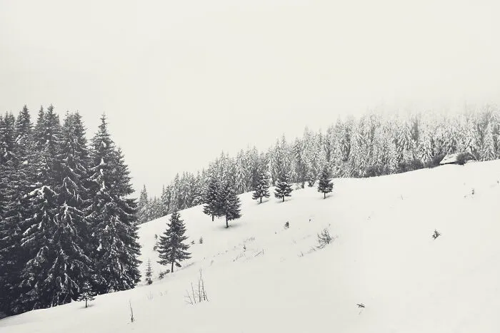 I Capture The Magical Beauty Of Winter In The Ukrainian Carpathians (30 Pics)