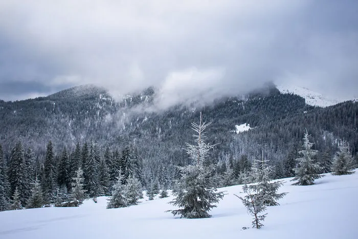 I Capture The Magical Beauty Of Winter In The Ukrainian Carpathians (30 Pics)