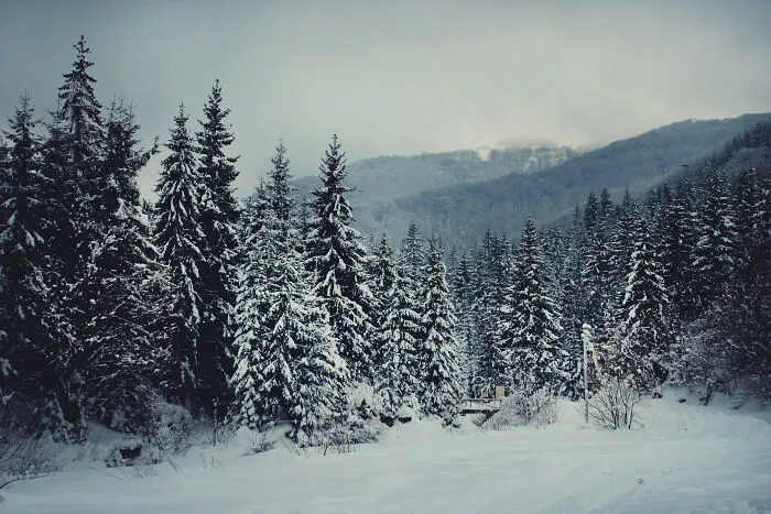 I Capture The Magical Beauty Of Winter In The Ukrainian Carpathians (30 Pics)