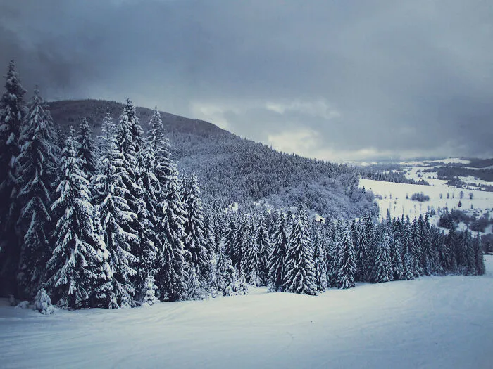 I Capture The Magical Beauty Of Winter In The Ukrainian Carpathians (30 Pics)