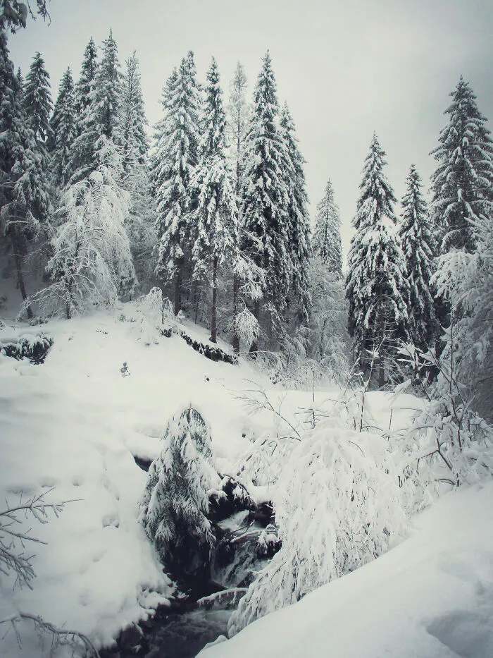 I Capture The Magical Beauty Of Winter In The Ukrainian Carpathians (30 Pics)