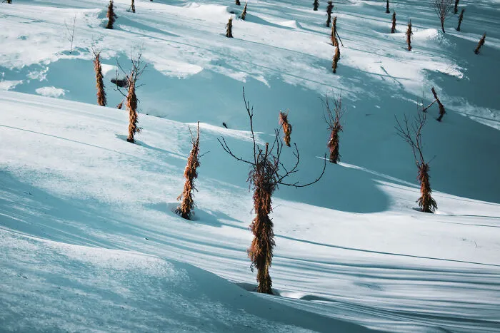 I Capture The Magical Beauty Of Winter In The Ukrainian Carpathians (30 Pics)