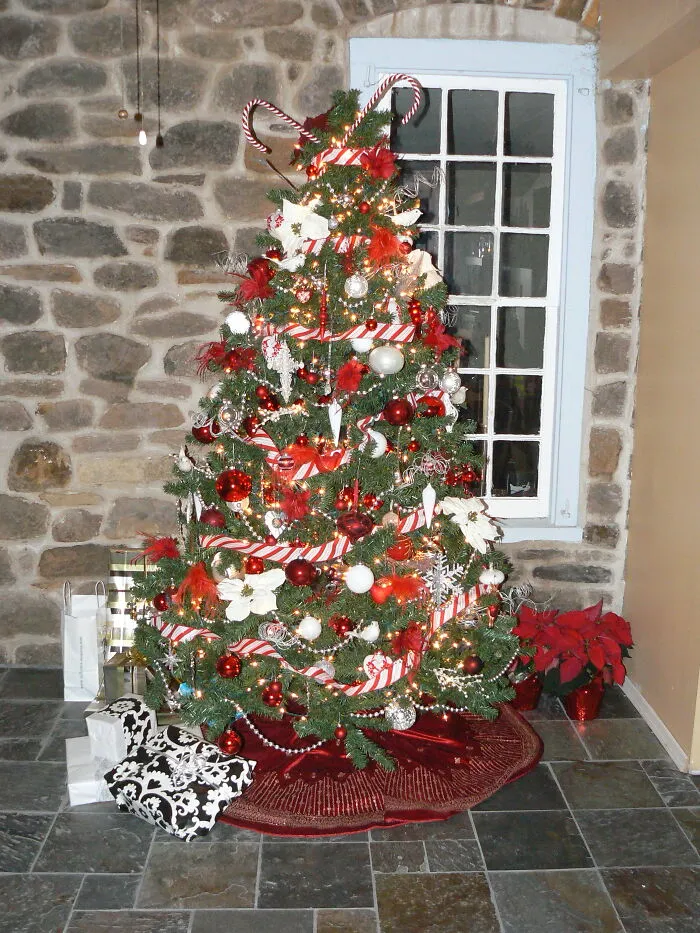 I Know I Keep Adding More Trees - But I Love My Christmas Trees And I Love Showing Them - Peppermint Tree