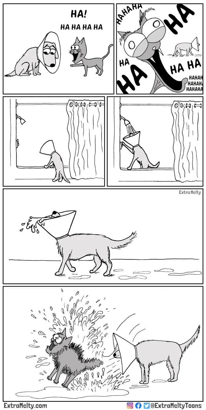 Cone Of Shame