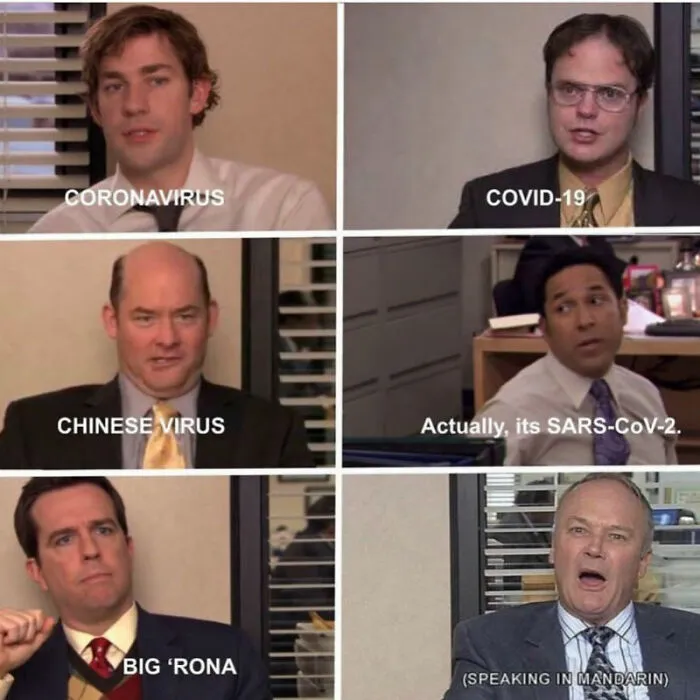 Man, I Love Many Memes, I Don't Know. The Ones From The Office Are The Most Relatable