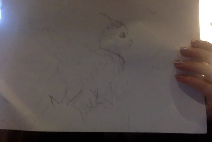 One Of My Drawings From A While Ago. I Hope You Can See It Ok!