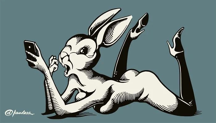 Silly Rabbit