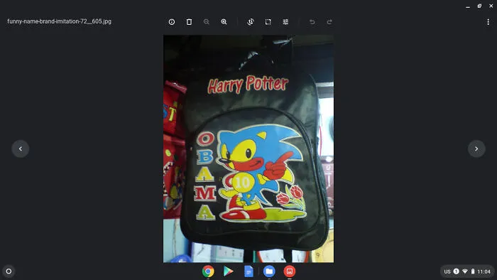 Harry Potter, Obama, And A Rainbow Sonic