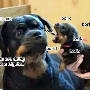 The Zooble