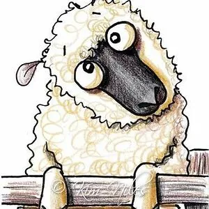 Sheep
