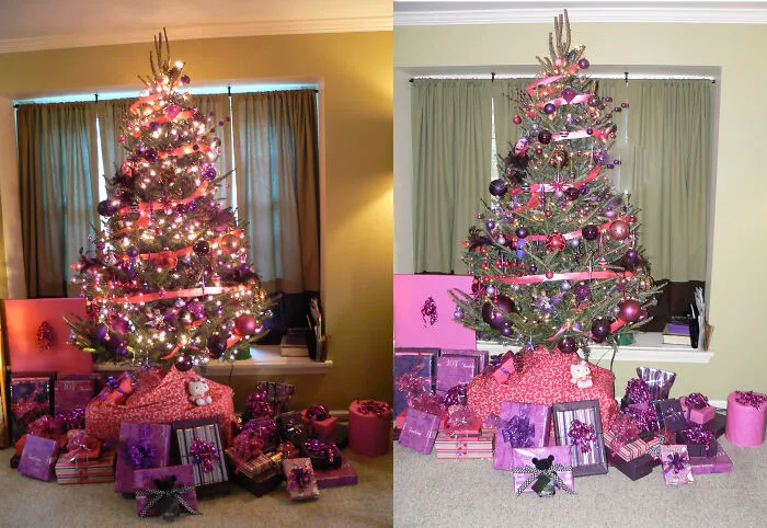 Purple And Pink Tree - I Put The Pictures Side By Side - Flash vs. No Flash