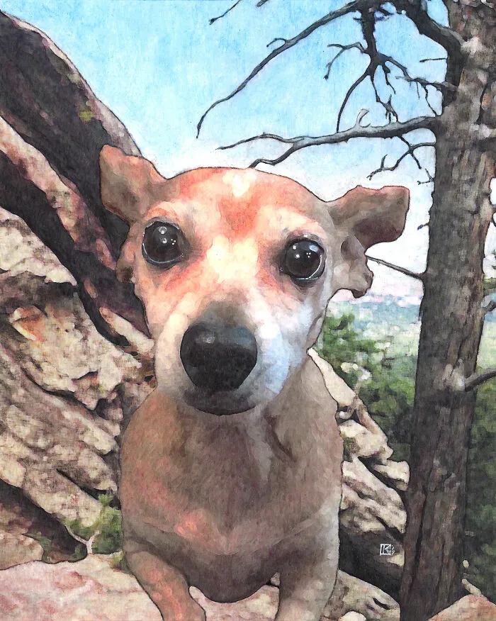 Spike, My Snausage, "On The Rocks" Near Boulder Colorado