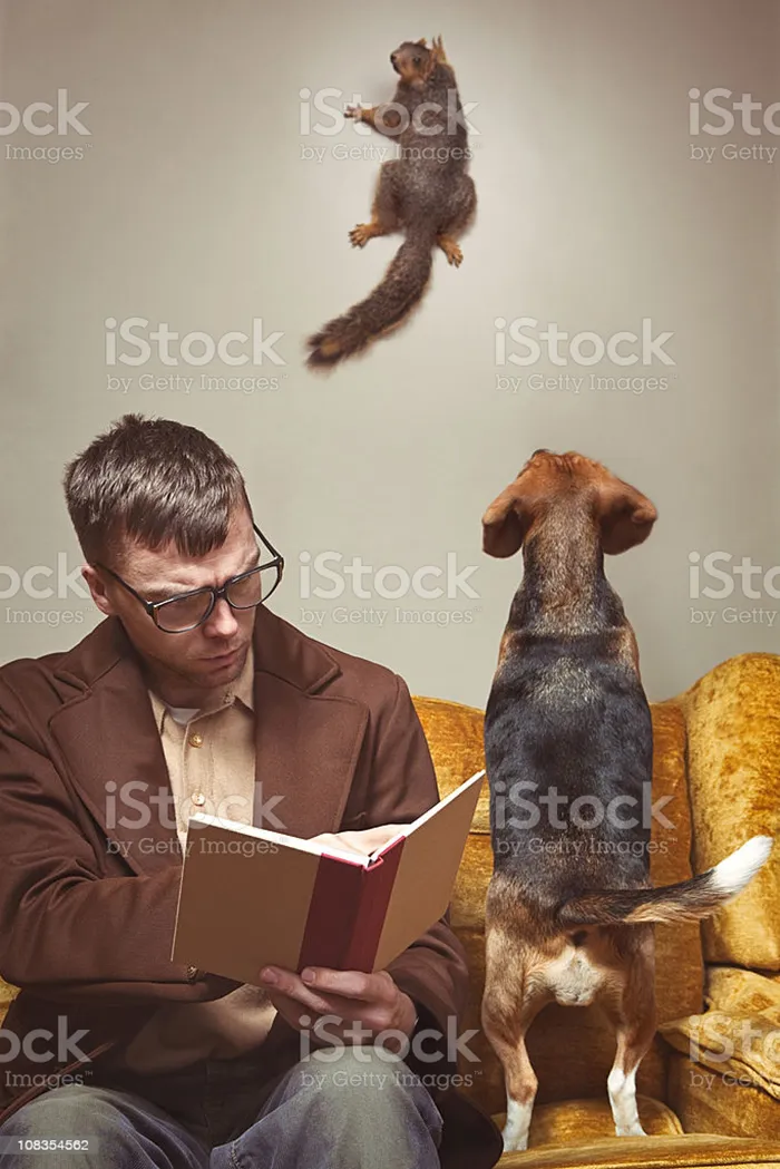 Squirrel!