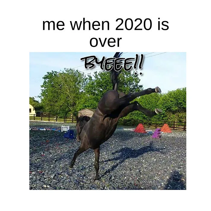 Lol