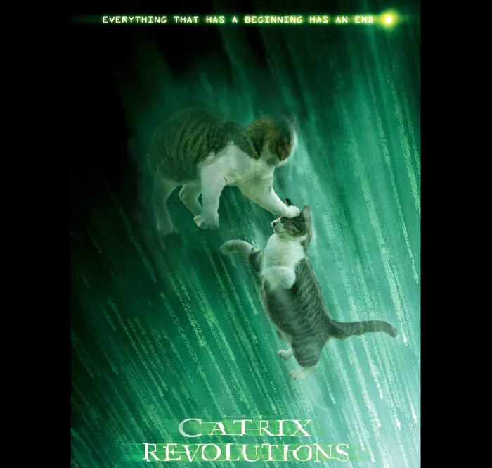The Catrix