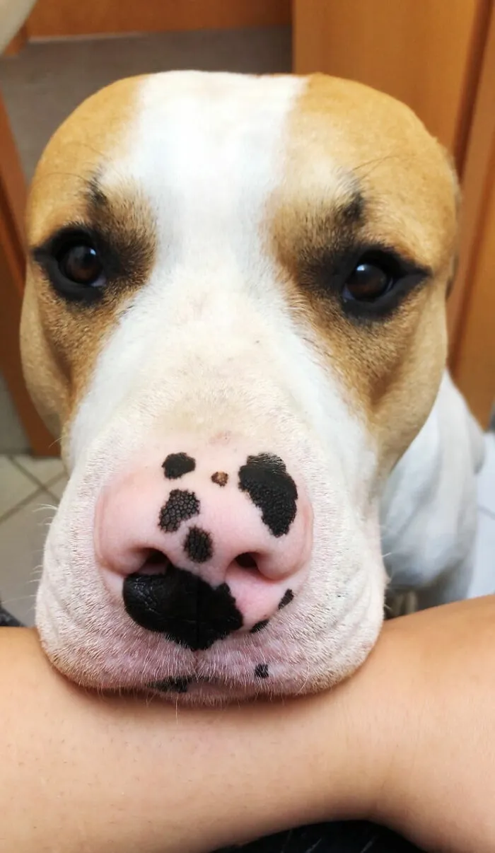 Hi!