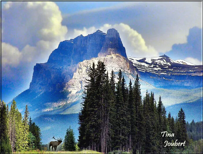 My Road Trips In And Around Alberta (40 Pics)