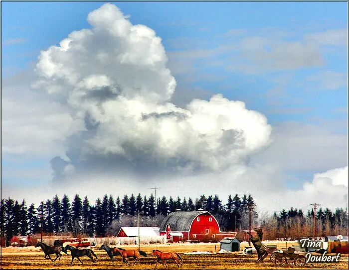 My Road Trips In And Around Alberta (40 Pics)