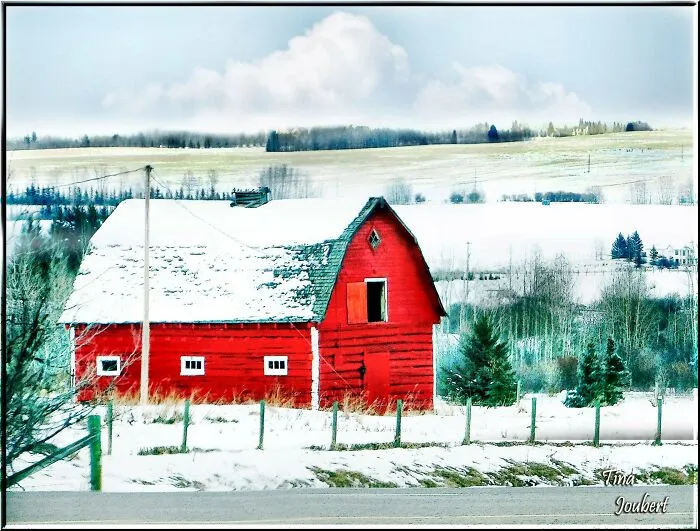 My Road Trips In And Around Alberta (40 Pics)