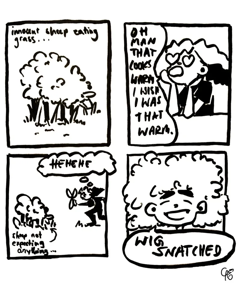 The Warmth Of Sheep