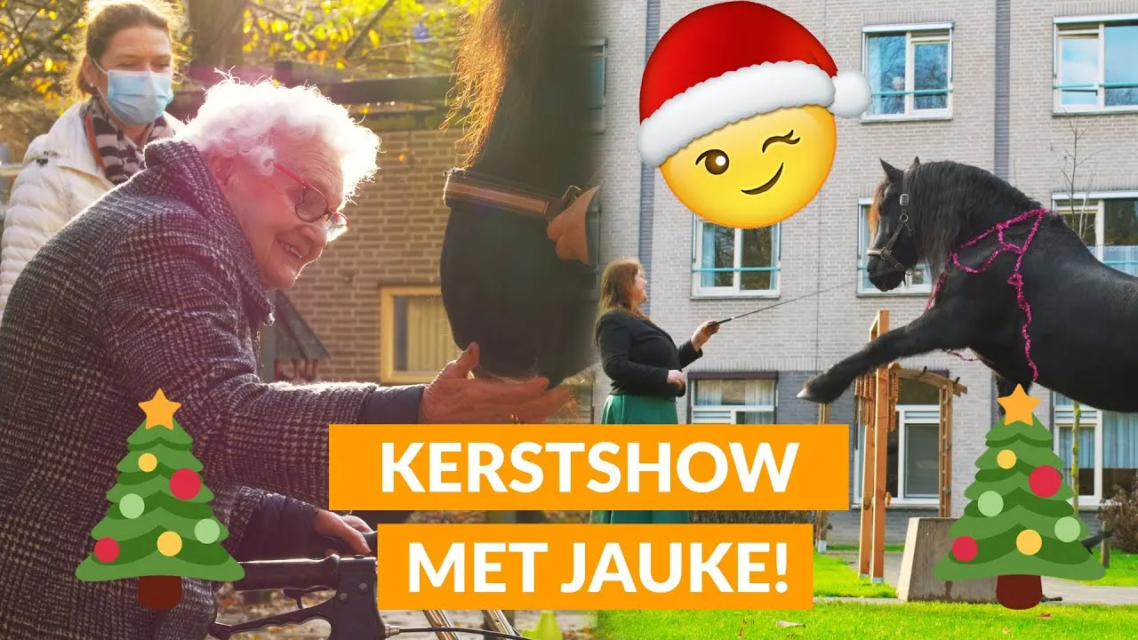 Surprise Elderly With A Magical Christmas Horseshow