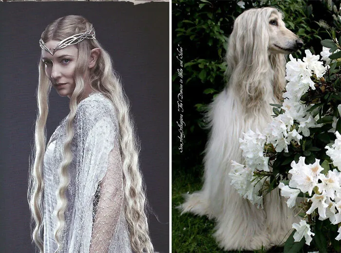 Galadriel