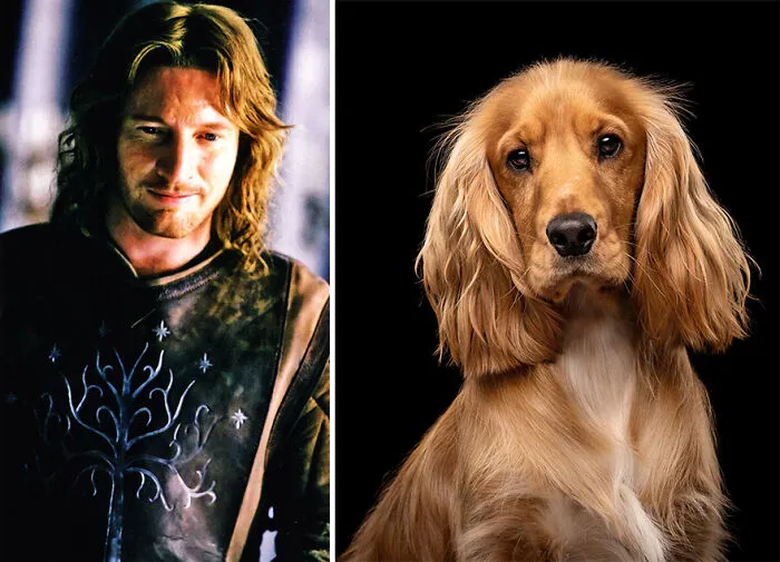 Faramir