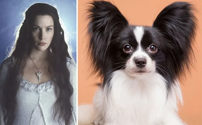 Arwen
