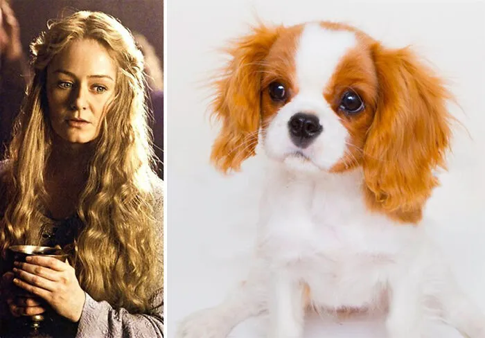 Éowyn