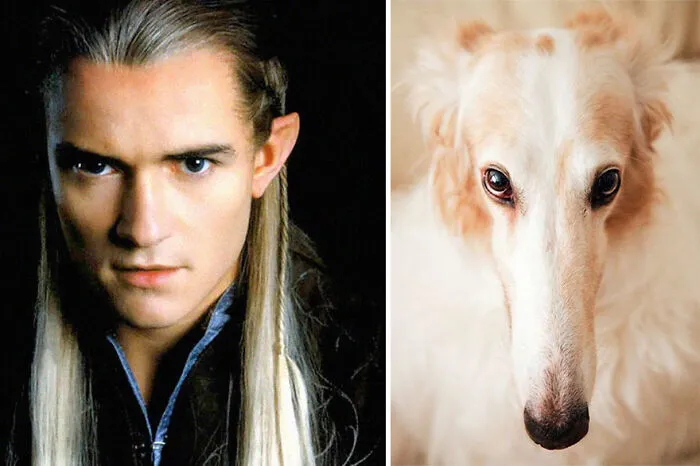 Legolas