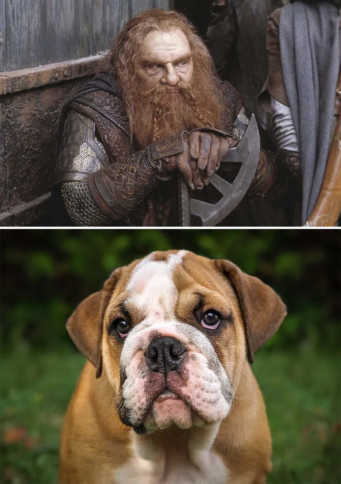 Gimli