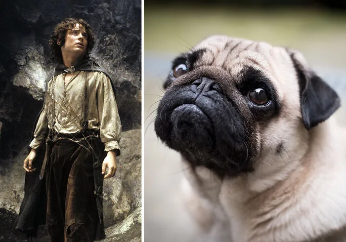 Frodo Baggins