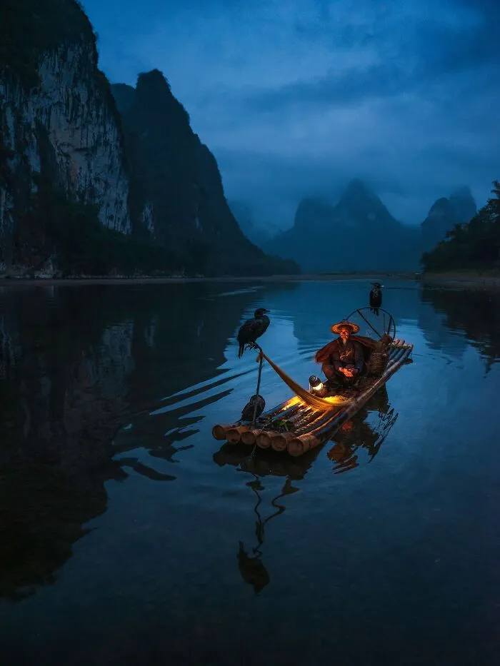 Cormorant Master